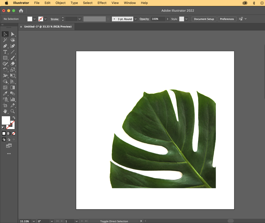Vectorize In Illustrator with Image Trace Feature RSD News